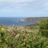5457_Pointe du Raz